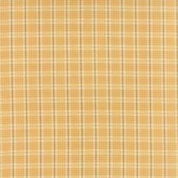 Wild Orchid 2776-14 REM